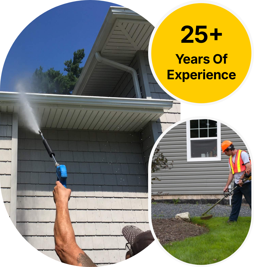 Outdoor living transformation